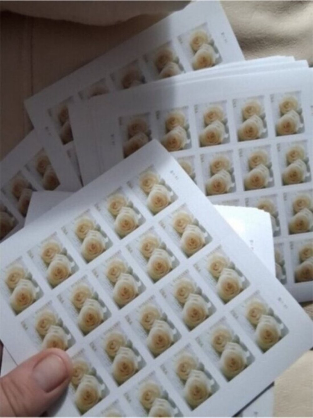 200 lifetime white roses unused wedding stamps
